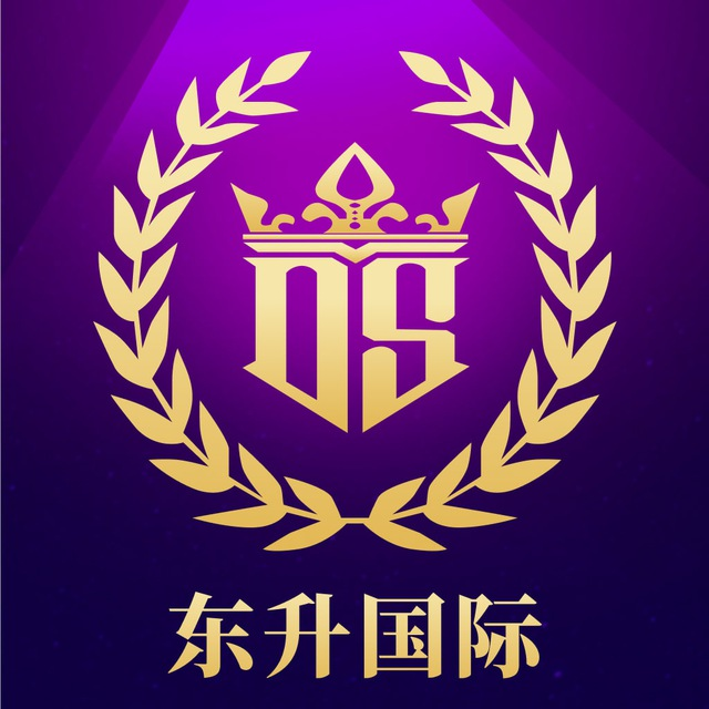 东升国际